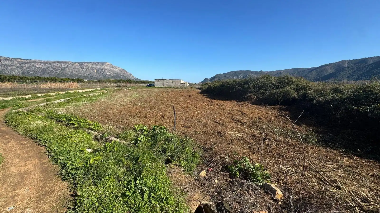 Finca rústica en venta en Simat de la Valldigna