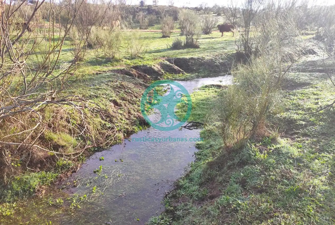 Terreno en venta en Mata de Alcántara