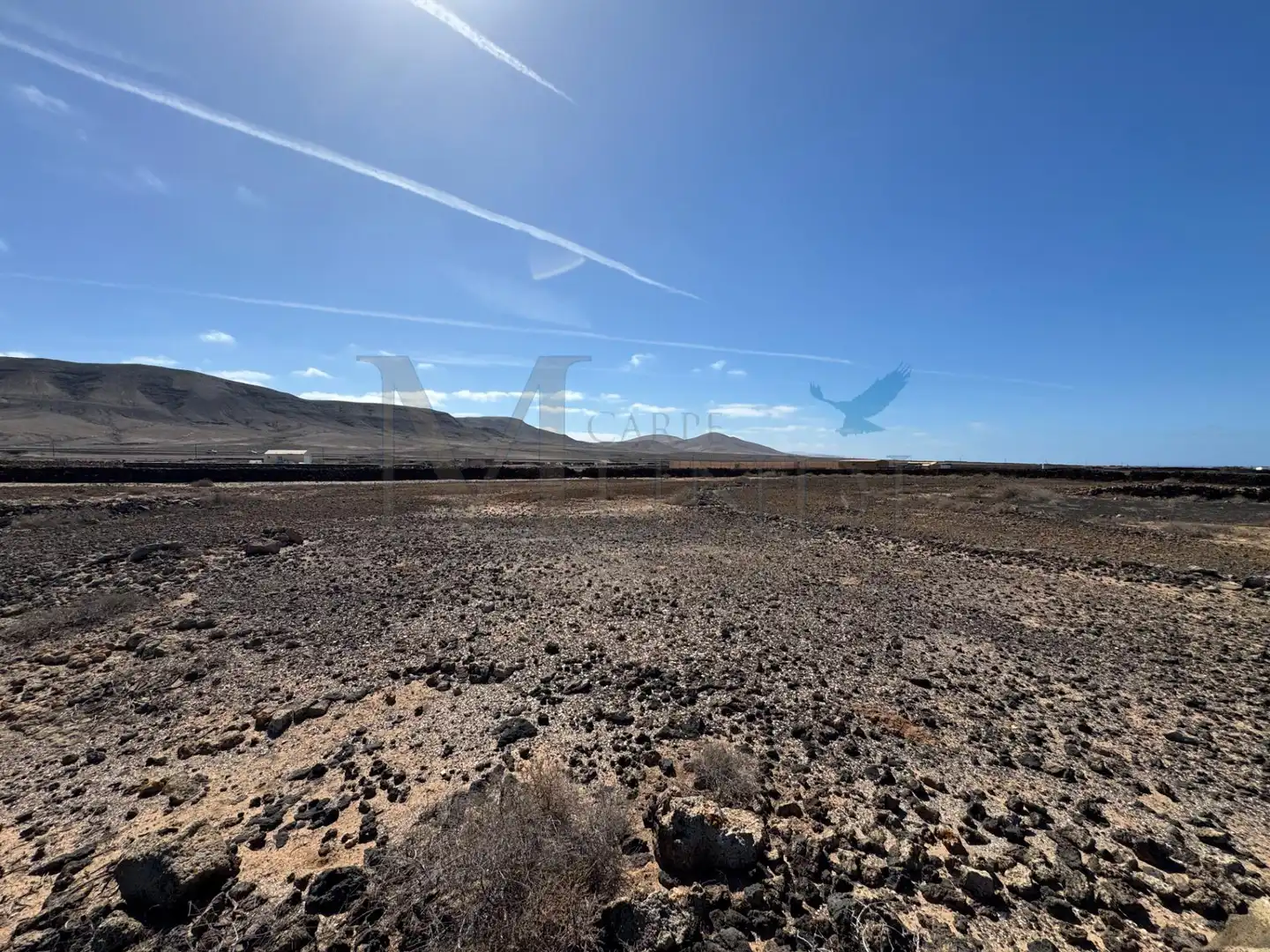 Land for sale in La Oliva
