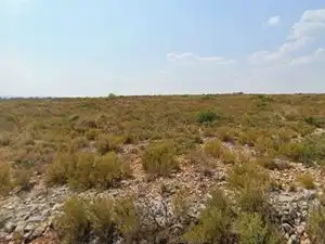 Rural land for sale in Polígono Industrial, imagen 4
