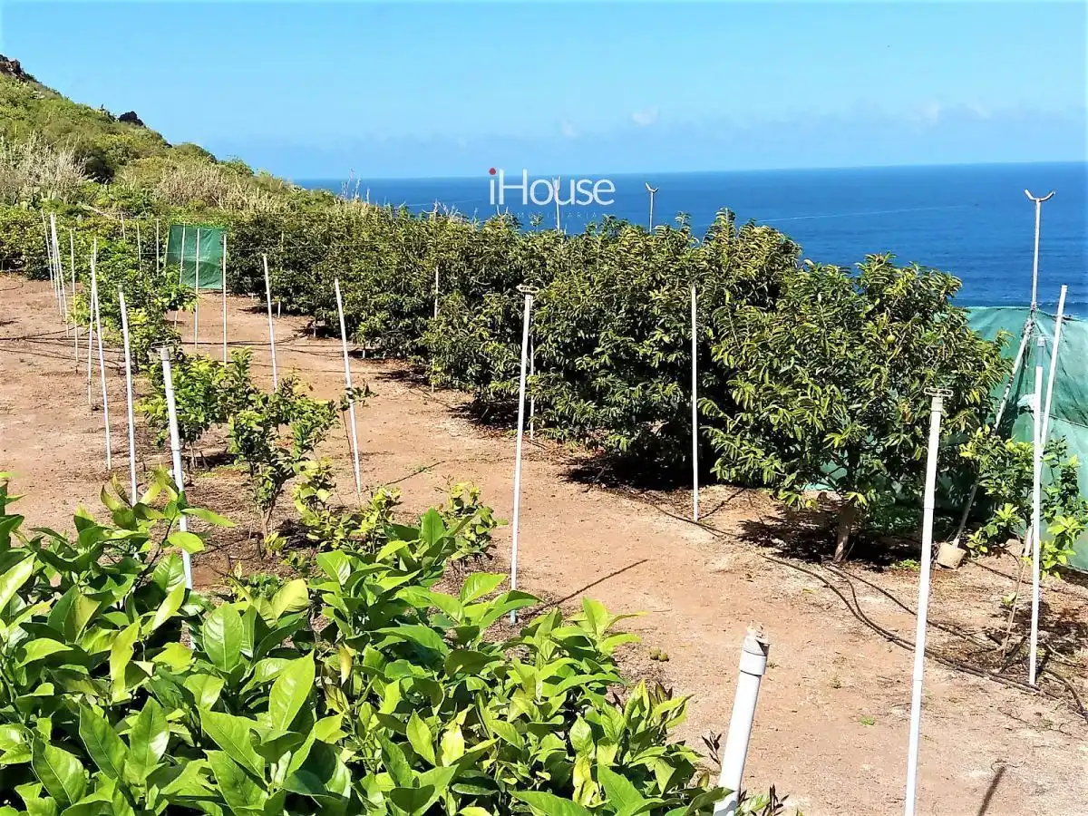 Terreno en venta en PUNTA DE TENO, Buenavista del Norte