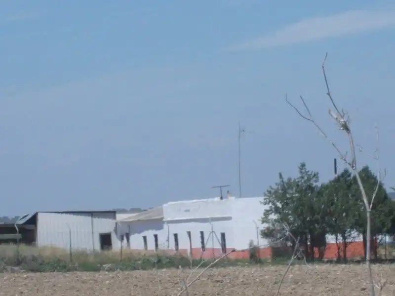 Haus zum Verkauf in CERCADO PEDRO MORENO POLIGONO 40 PARCELA 39 1 Sin, imagen 3