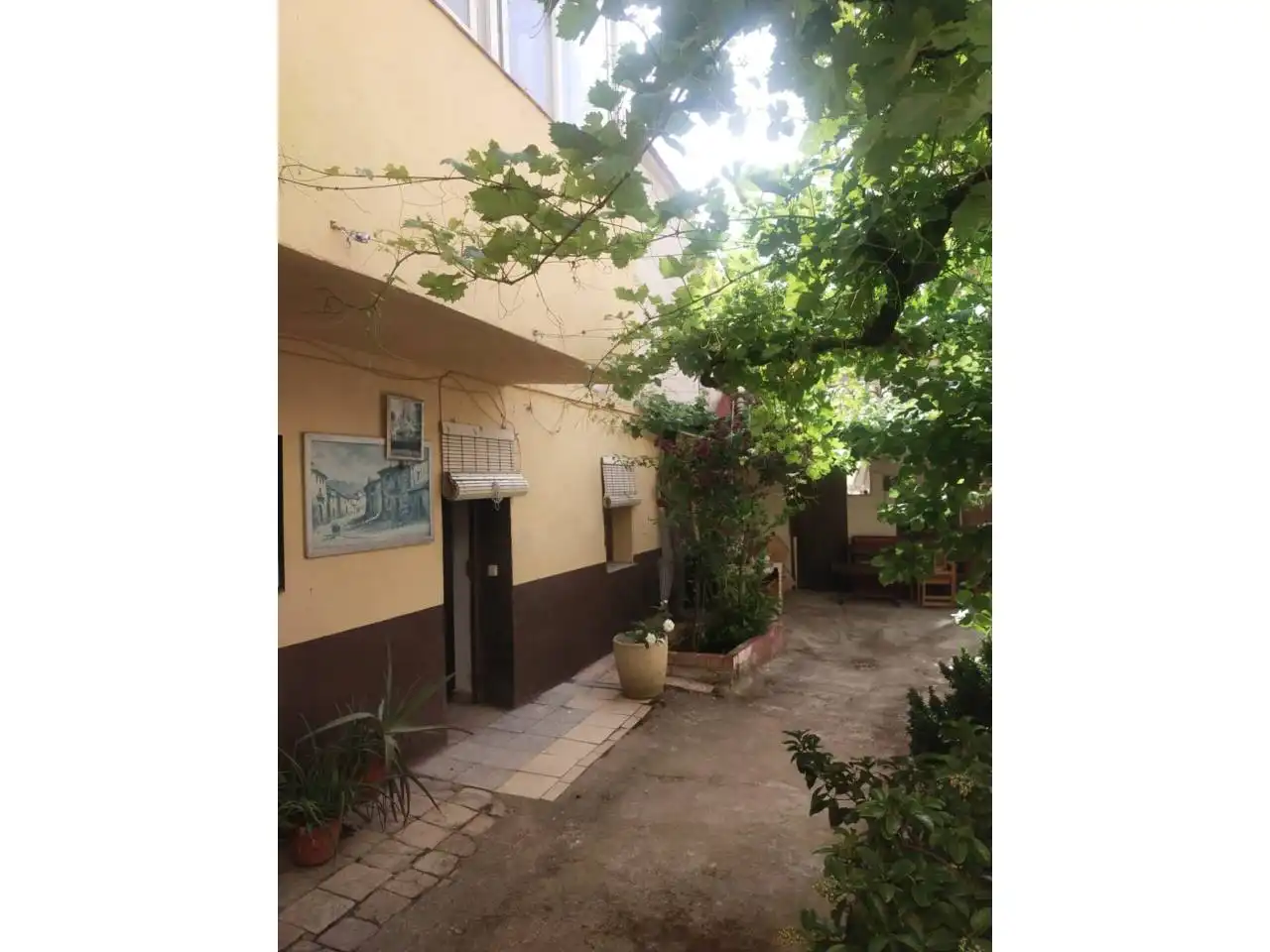 Jardín de Terreno en venta en Daimiel