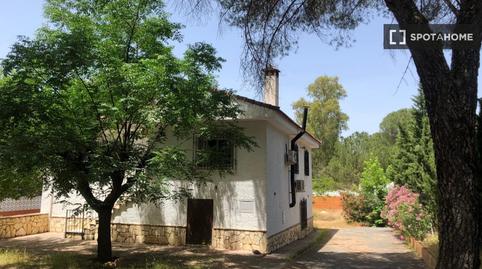 Photo 2 of Apartment to share in El Brillante -El Naranjo - El Tablero, Córdoba