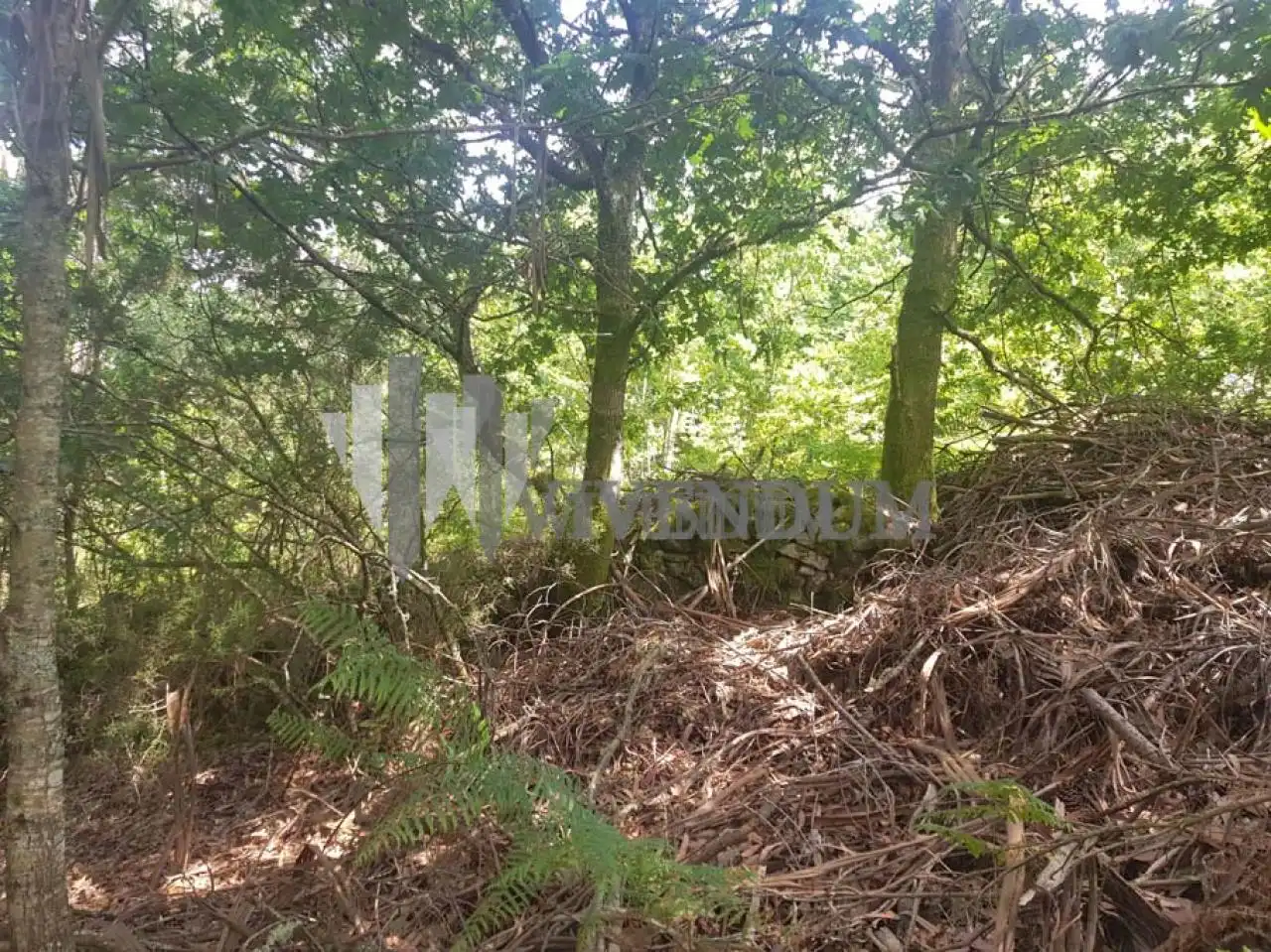 Residential for sale in A Lama  