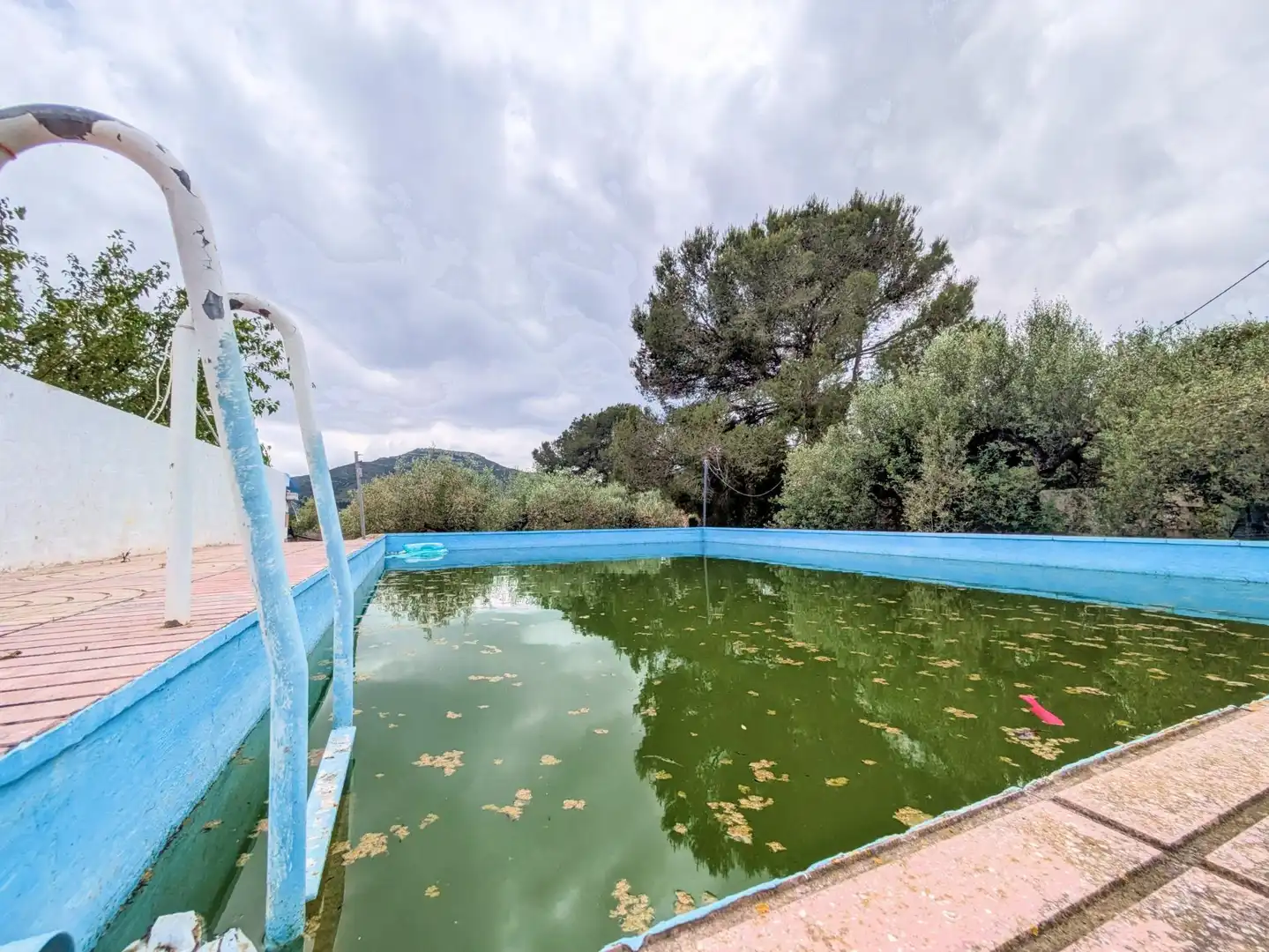 Piscina de Finca rústica en venda en Amposta