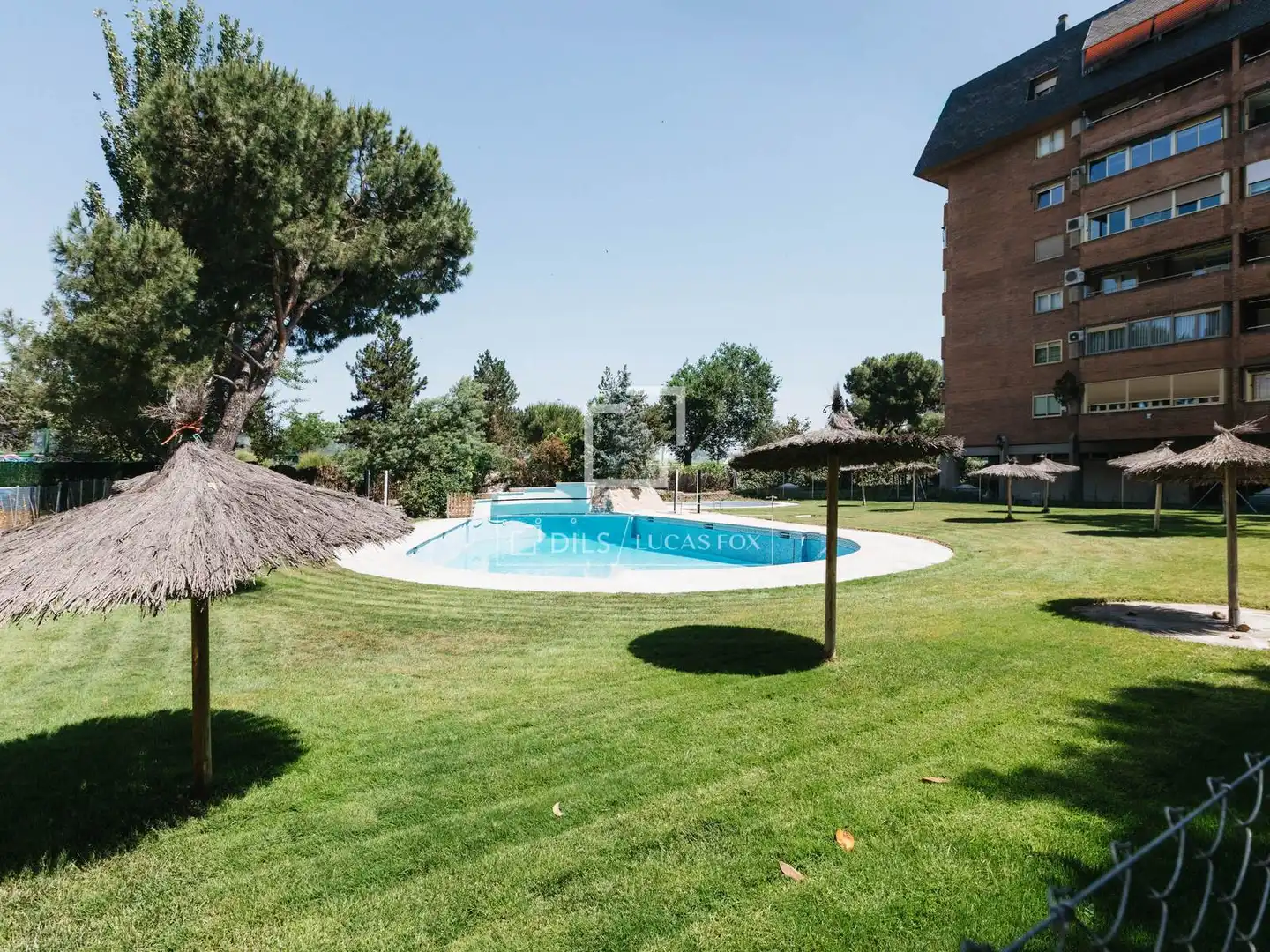 Swimming pool of Flat for rent in Madrid  with Air Conditioner, Heating and Private garden