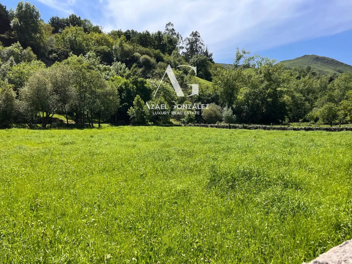 Land for sale in Ruente