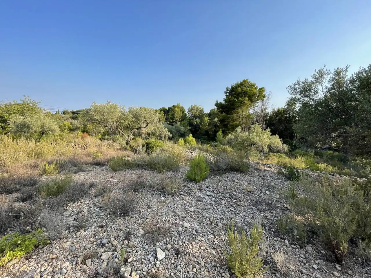 Terreno rustico in vendita a Partida Estany Tort, imagen 11