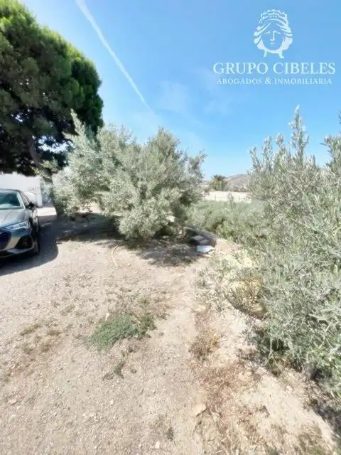Finca rústica en venta en Pechina