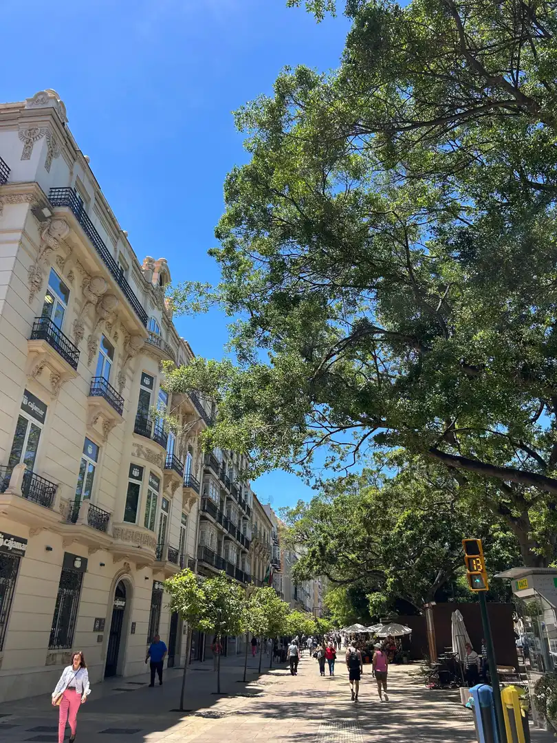 Vista exterior de Apartamento en venta en Málaga con Aire acondicionado
