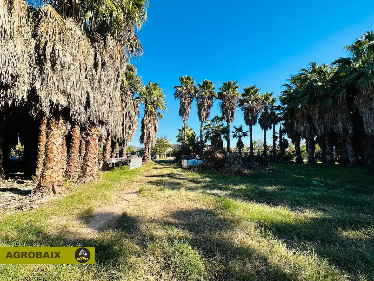 Terreno rustico in vendita a Eixample, imagen 33