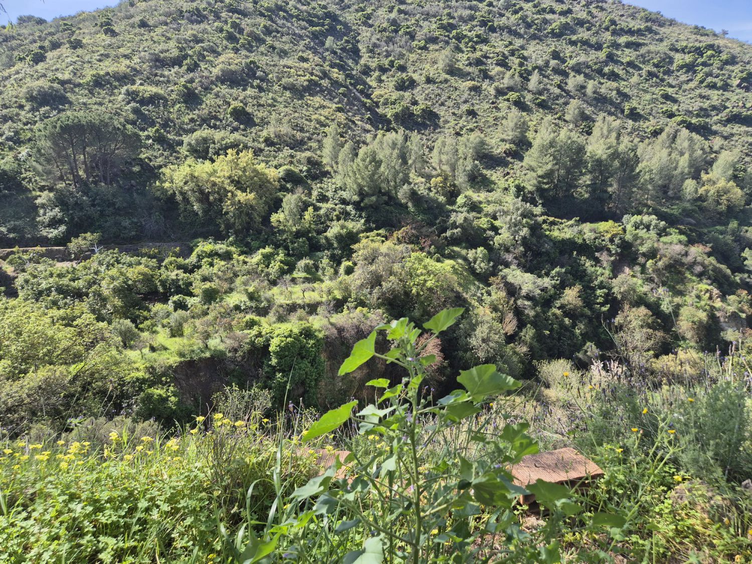 Country house for sale in Alozaina  with Heating