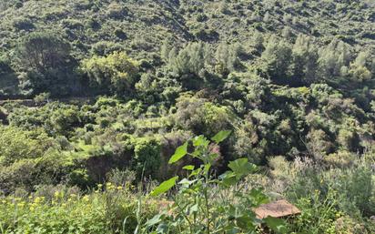 Country house for sale in Alozaina