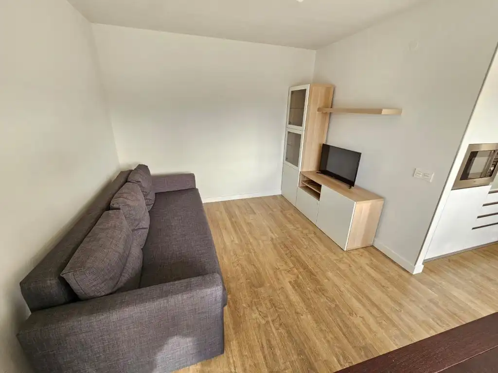 Living room of Flat for sale in Avilés