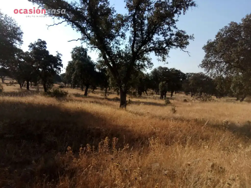 Country homes for sale in Torrecampo