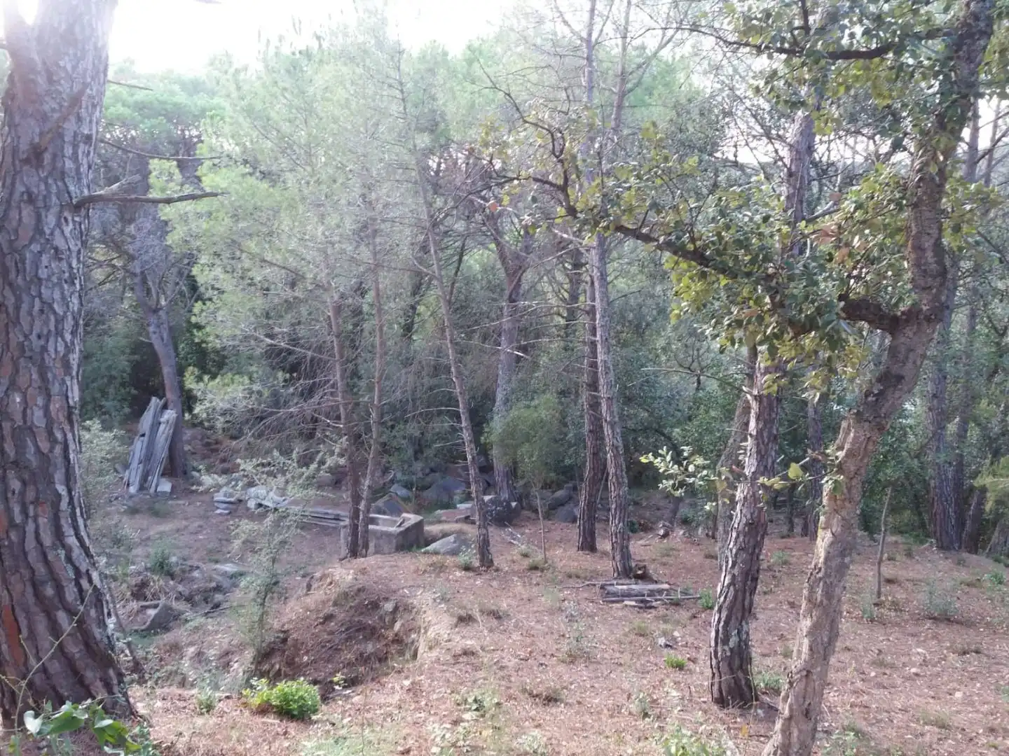 Terreno residencial en venta en Avinguda del Bell-lloc, imagen 17