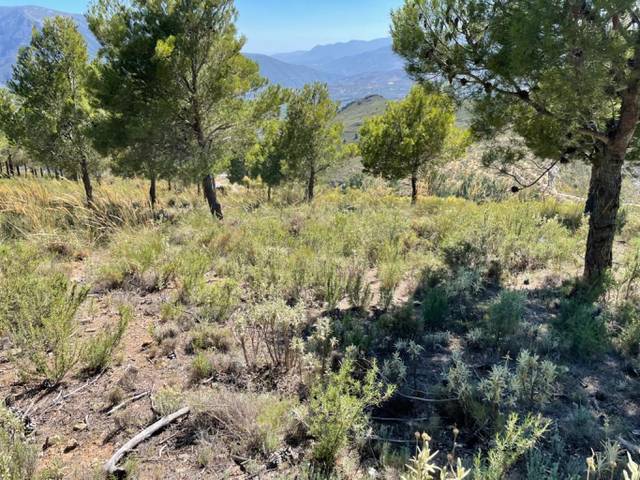 Terreno residencial en Venta en Órgiva. Polígono  en Órgiva