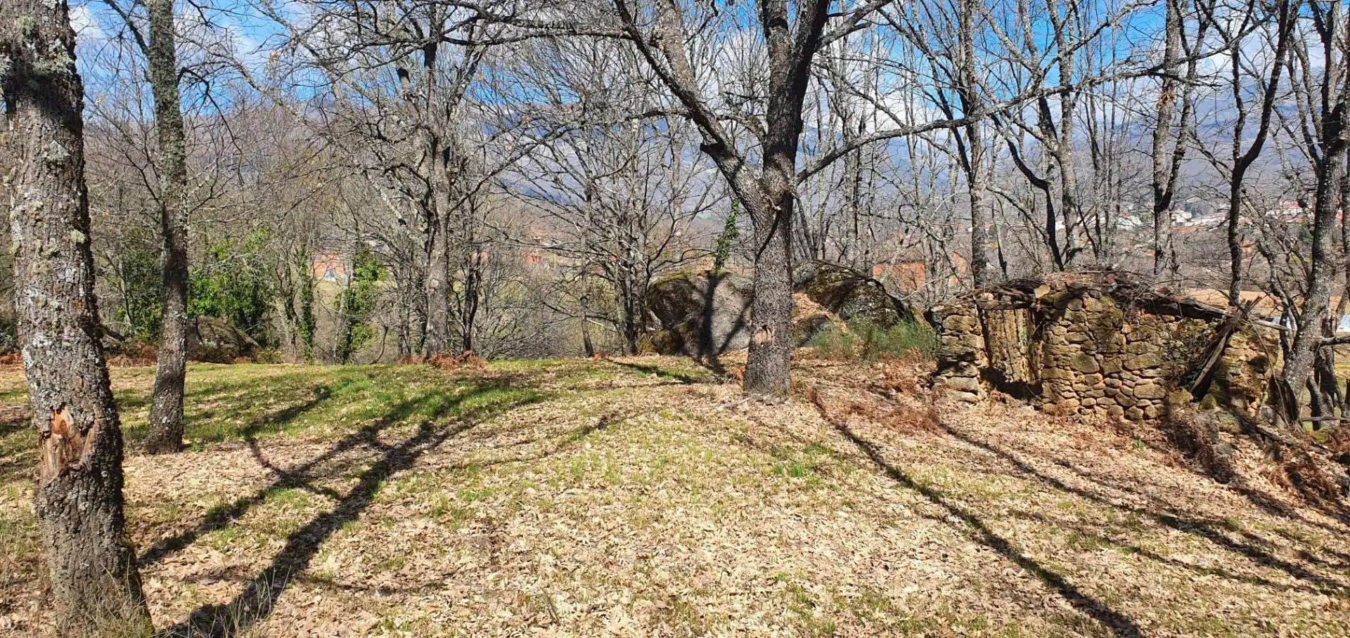 Terreni e lotti in vendita a Jarandilla de la Vera, imagen 10