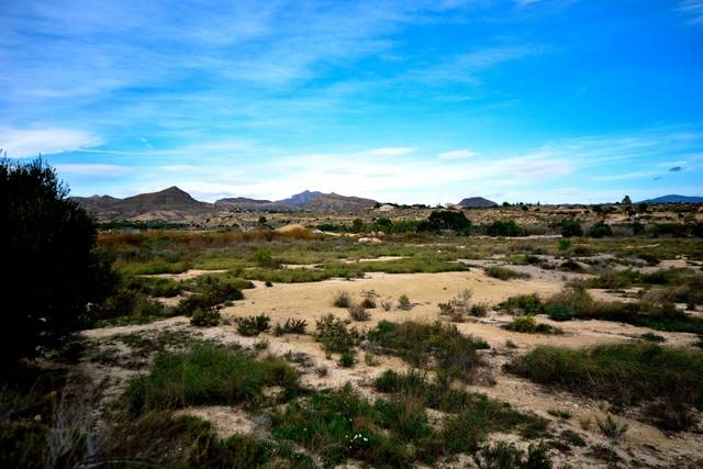 Terreno en Venta en Villamontes - Boqueres