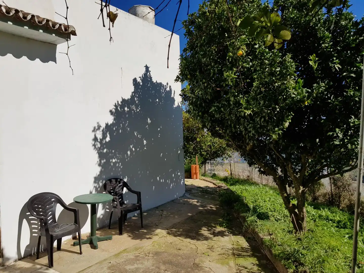 Jardín de Casa o chalet en venta en Teror con Jardín privado