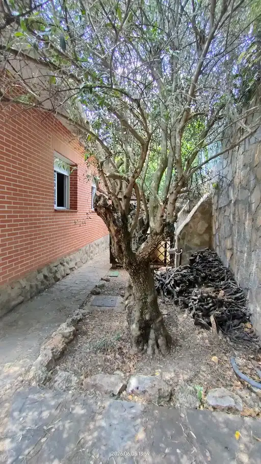 Jardí de Casa o xalet en venda en El Casar amb Calefacció, Jardí privat i Terrassa