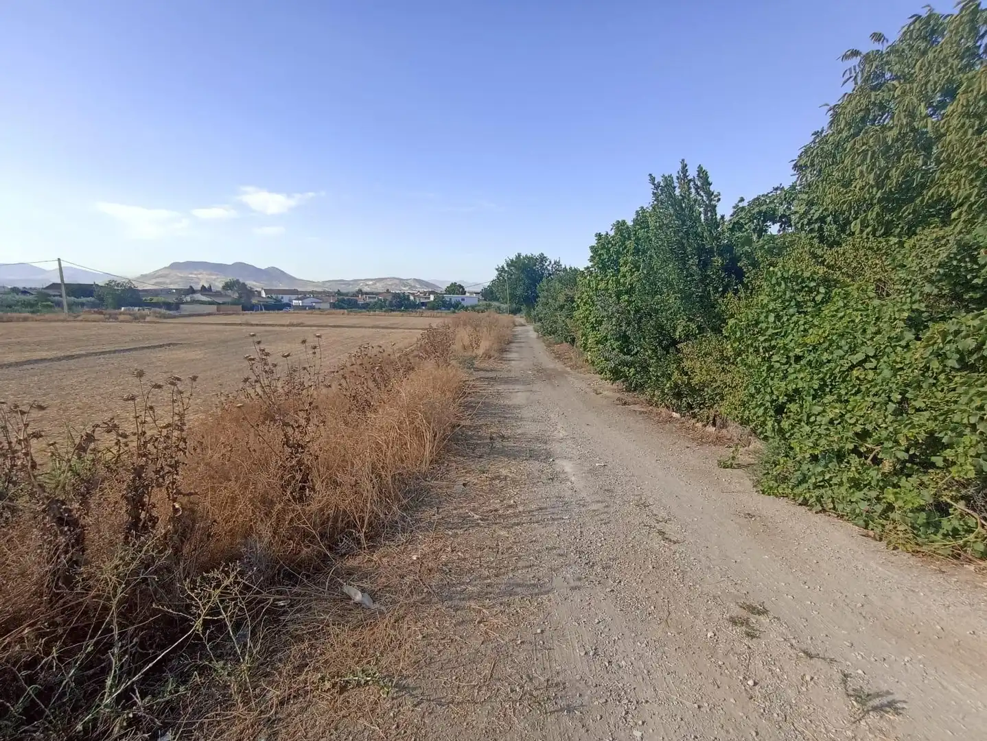 Residential for sale in Vegas del Genil