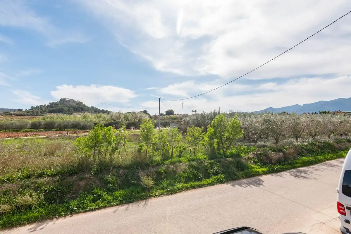 Finca rústica en venta en Pliego