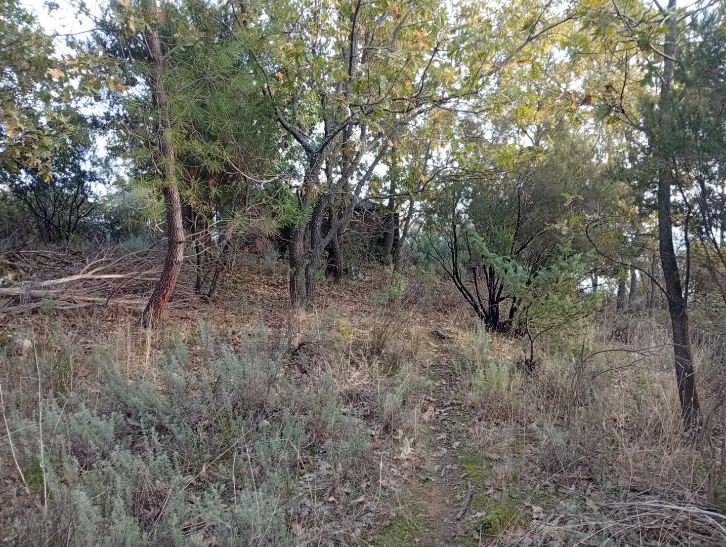 Terreni e lotti in vendita a Villanueva de la Vera, imagen 46