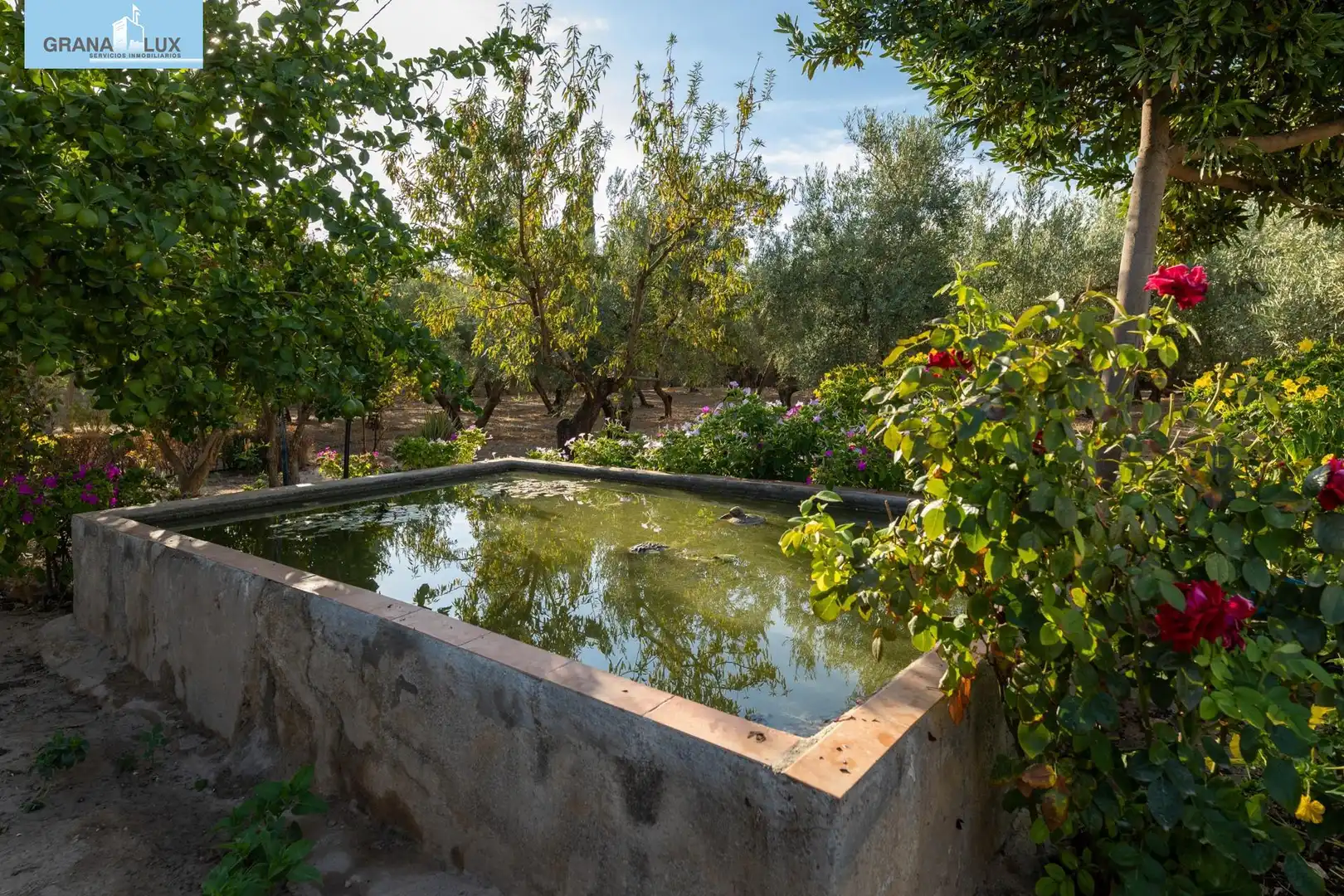 Casa rústica amb piscina en venda a Polígono 6 Paraje 75 LLANOS DE MORALEDA 61, imagen 14