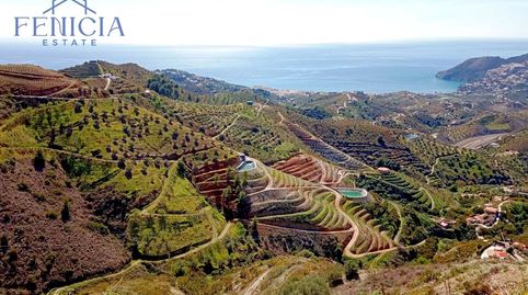 Finca rústica con gran extensión, infraestructura completa y vistas despejadas  Oportunidad única, imatge 2