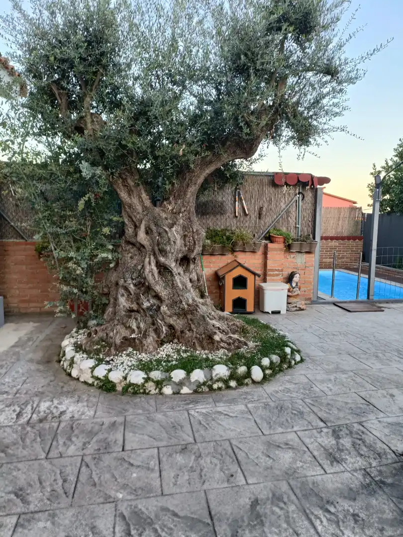 Garden of Houses for sale in Rubí  with Air Conditioner, Heating and Private garden