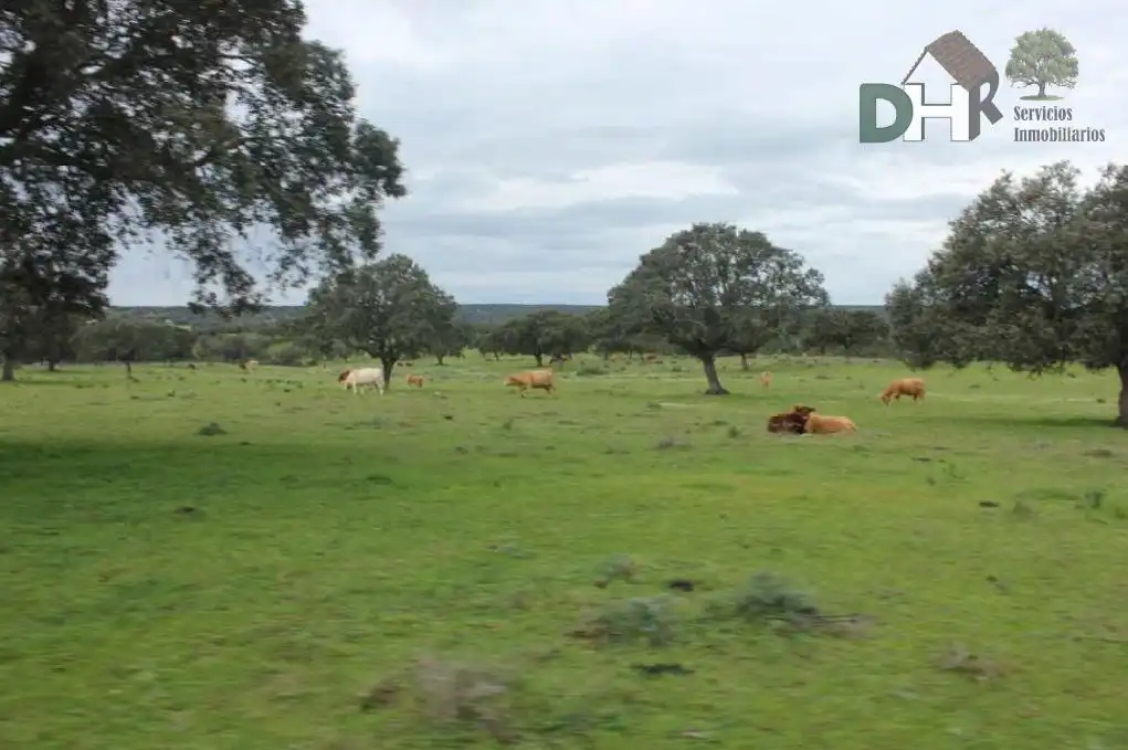 Terreni e lotti in vendita a Valdesalor - Rincón de Ballesteros, imagen 6