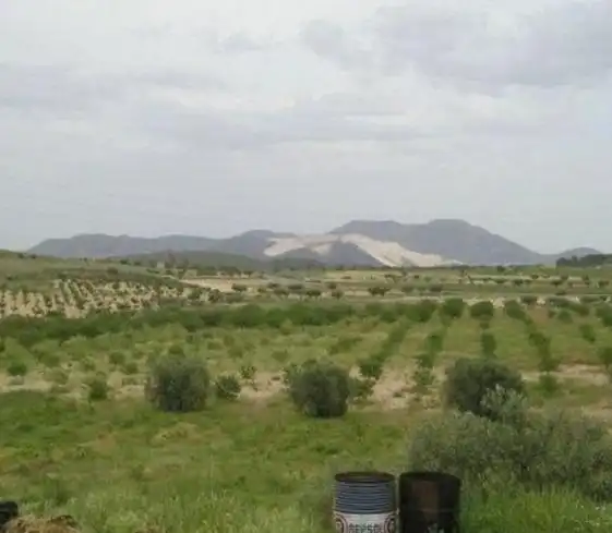 Rustikales Grundstück zum Verkauf in Jumilla, imagen 7