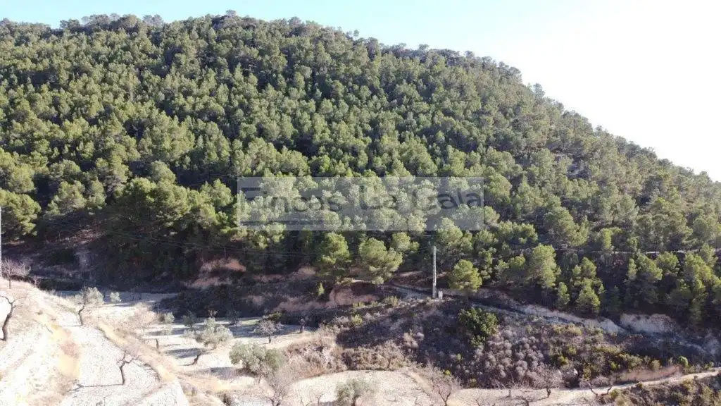 Country house for sale in Relleu, imagen 28