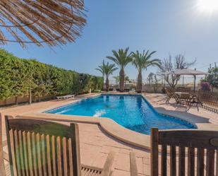 Swimming pool of House or chalet for sale in Elche / Elx  with Parquet flooring, Storage room and Swimming Pool