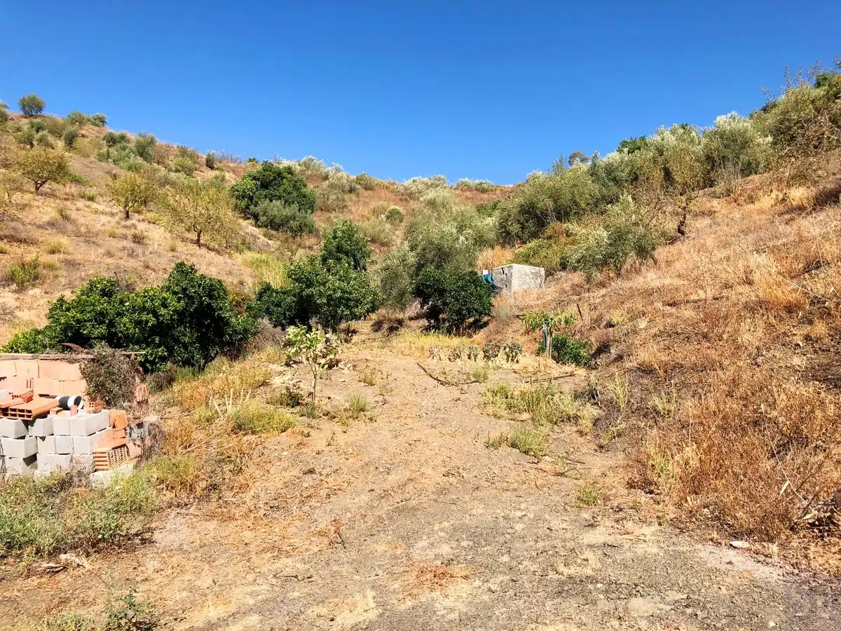 Terrenos y solares en venta en Sedella, imagen 14