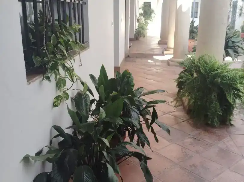 Flat for rent in Sevilla  with Air Conditioner and Private garden