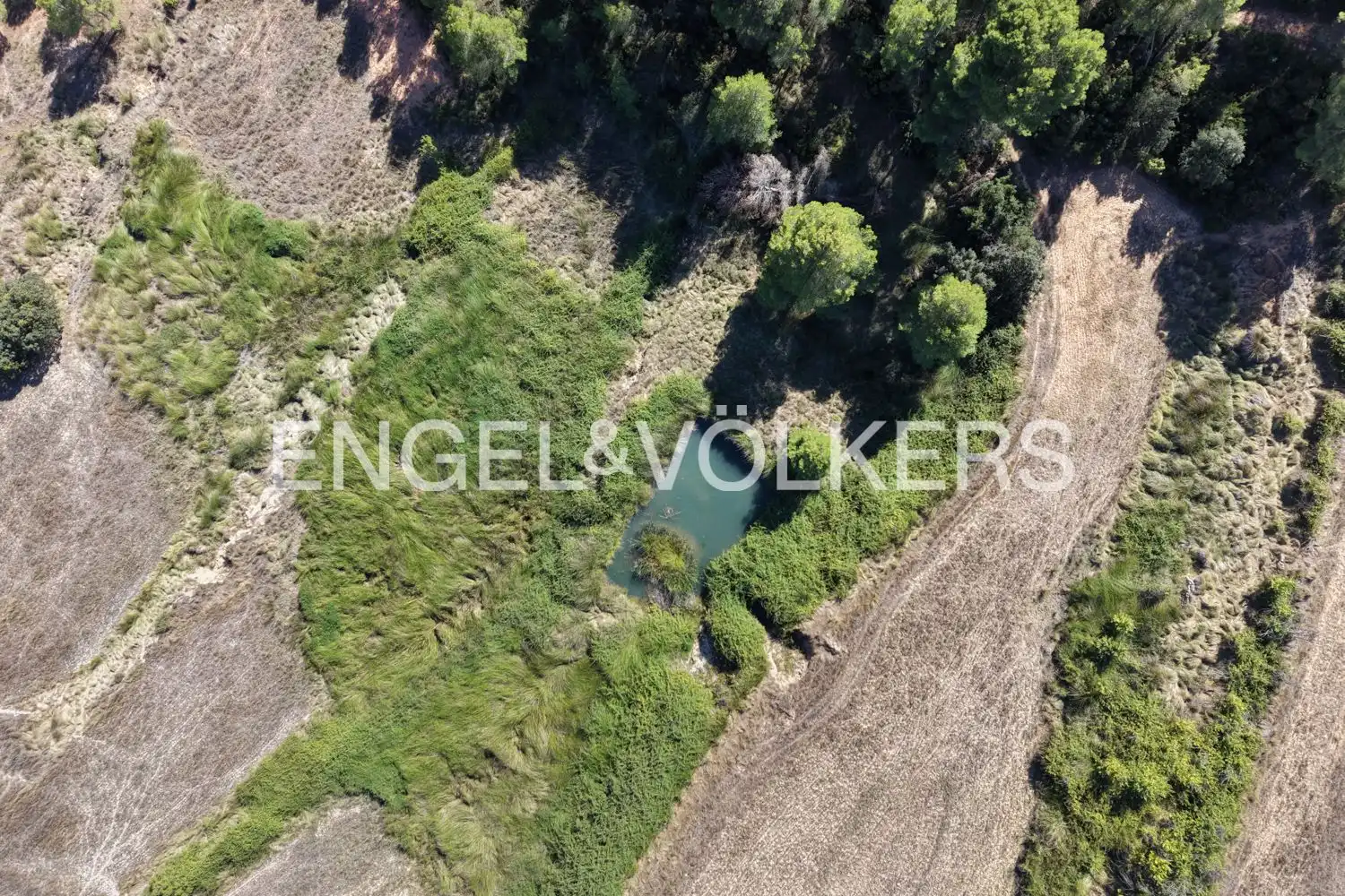 Terrain rustique à vendre à Requena, imagen 45