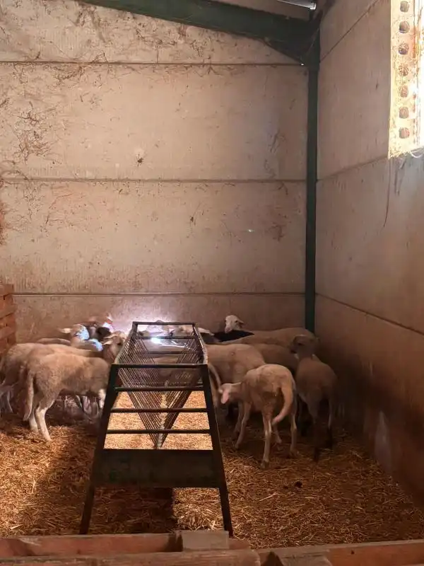 Vista exterior de Finca rústica en venda en El Saucejo amb Aire condicionat, Calefacció i Moblat