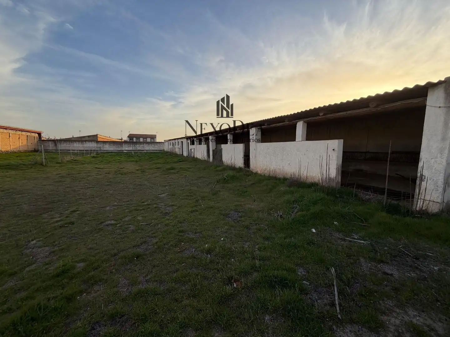 Terreno rustico in vendita a Magdalena, imagen 5