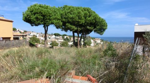 Parcel·la amb vistes al mar a Canet de Mar – Urbanització El Grau, imatge 3