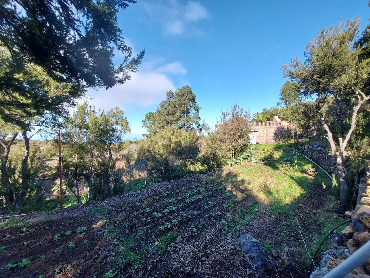 Maison avec jardin à vendre à El Tanque, imagen 12