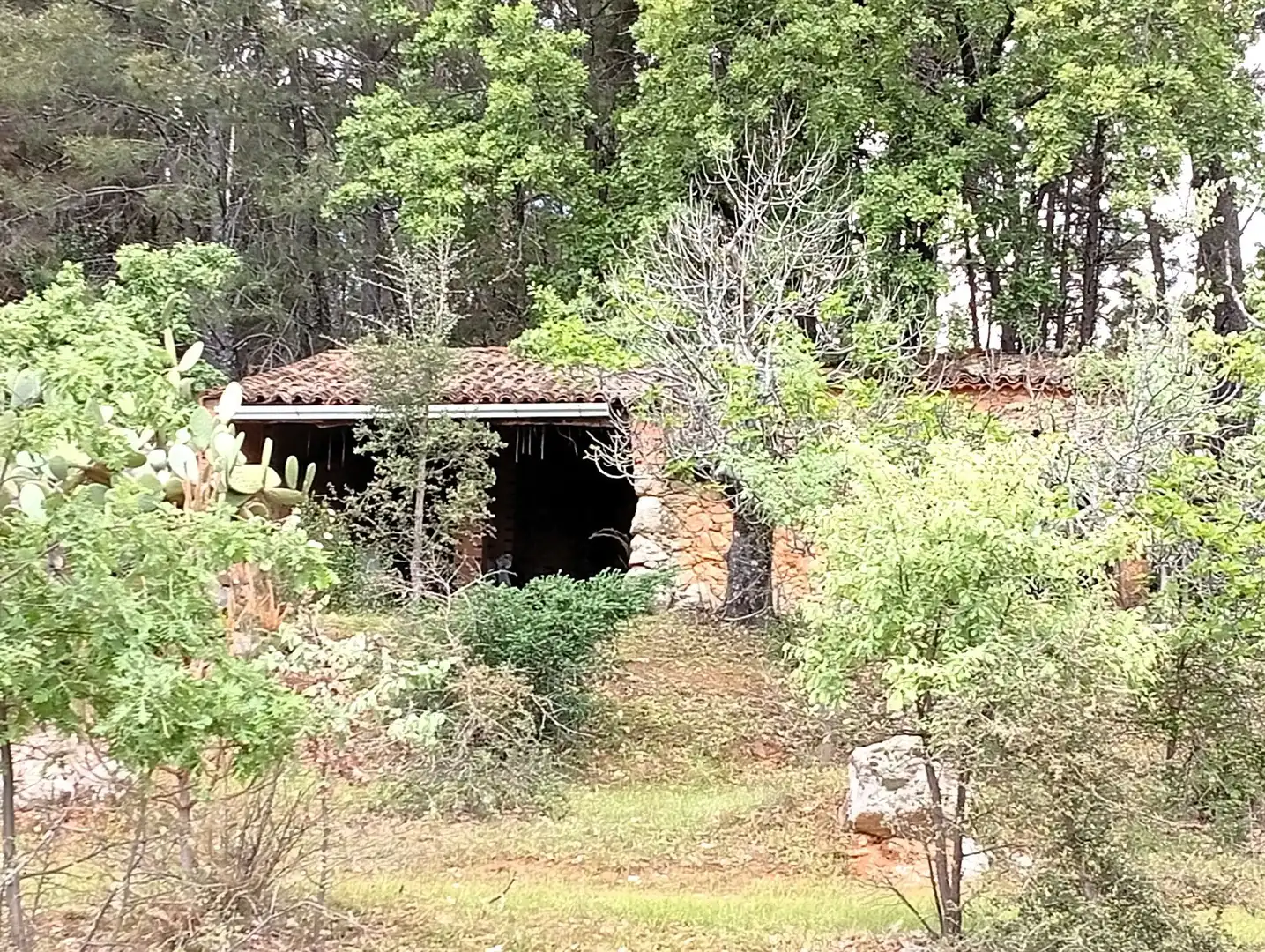 Terreni e lotti in vendita a Villanueva de la Vera, imagen 3