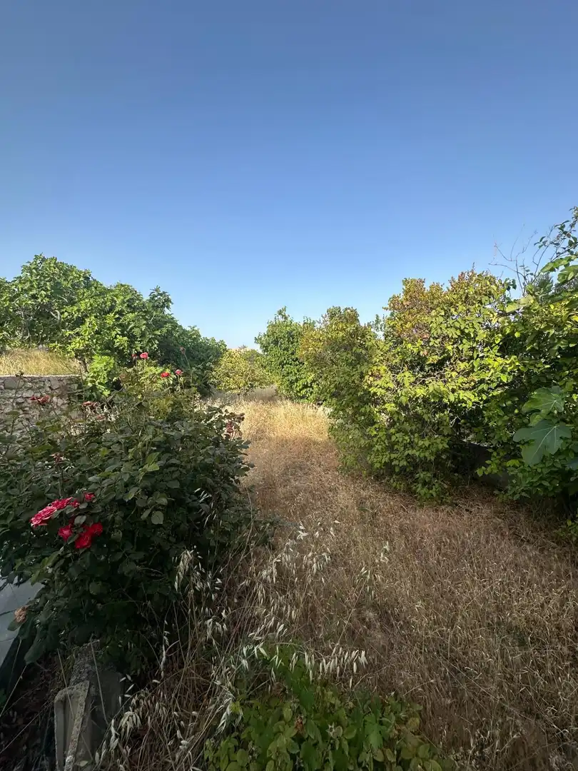 Finca rústica en venta en Somontín