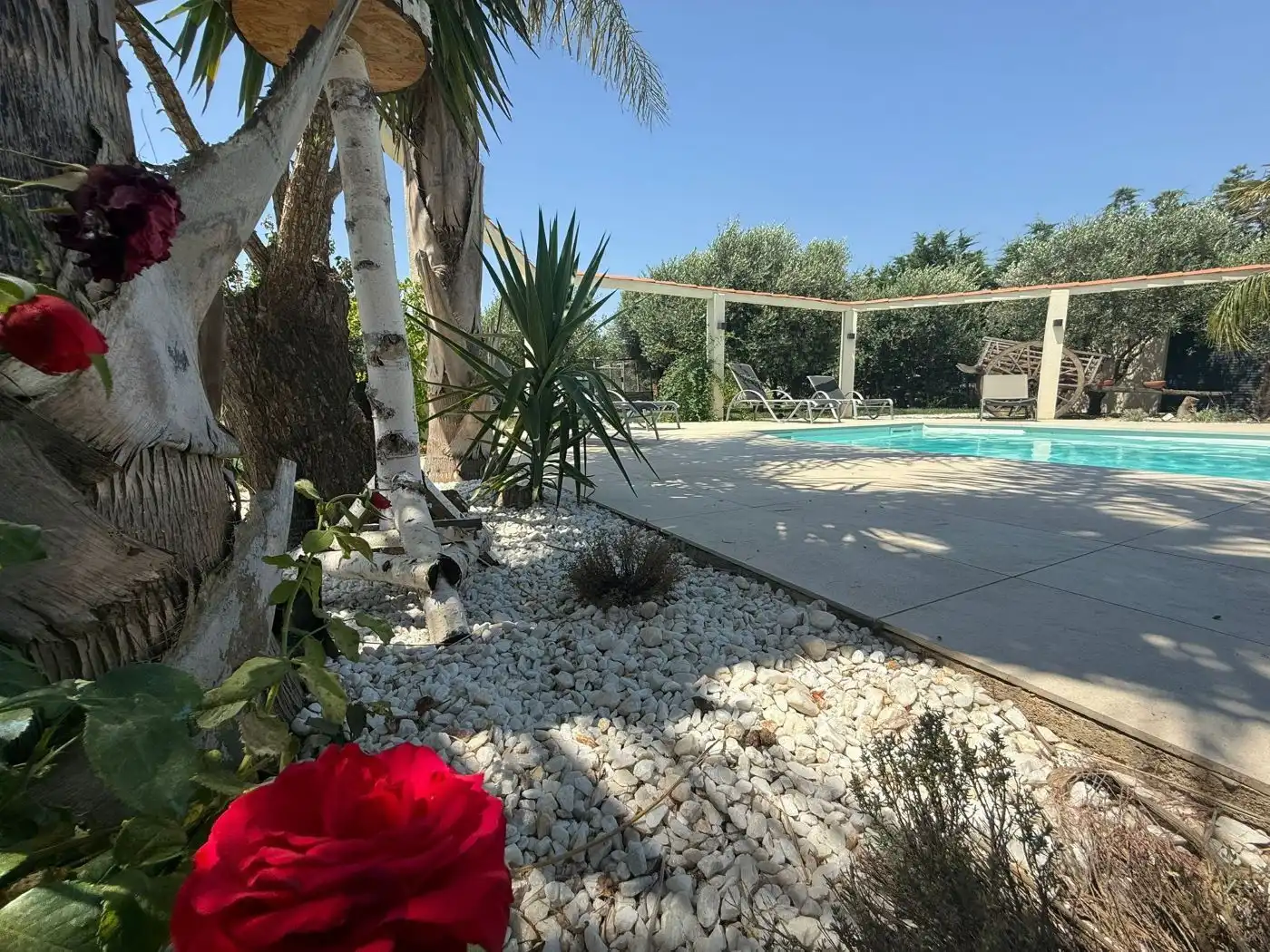 Piscina de Casa o xalet en venda en Castelló d'Empúries amb Aire condicionat, Calefacció i Jardí privat