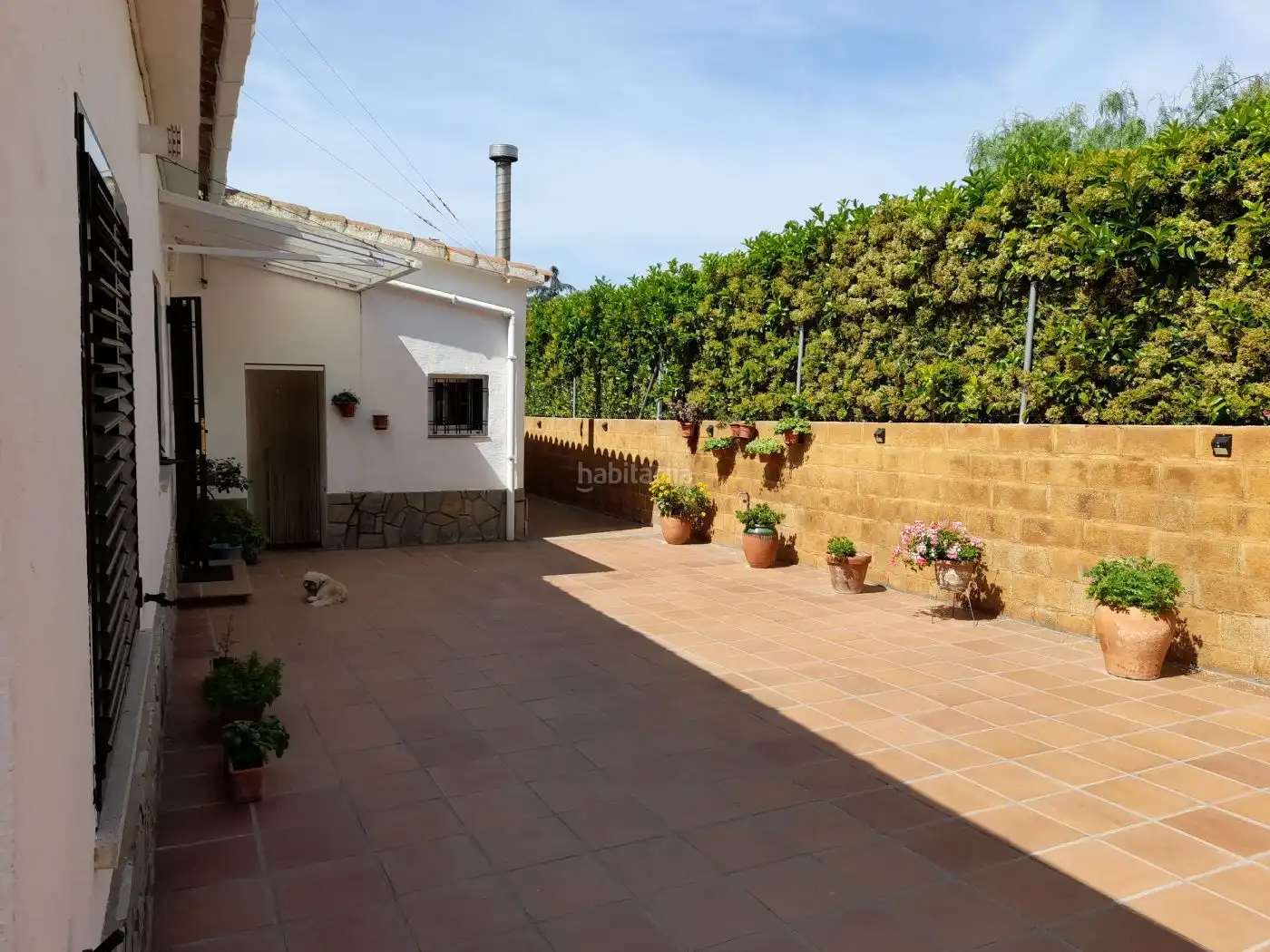 Villa con giardino in vendita a Carrer Verge de Montserrat 12, imagen 3