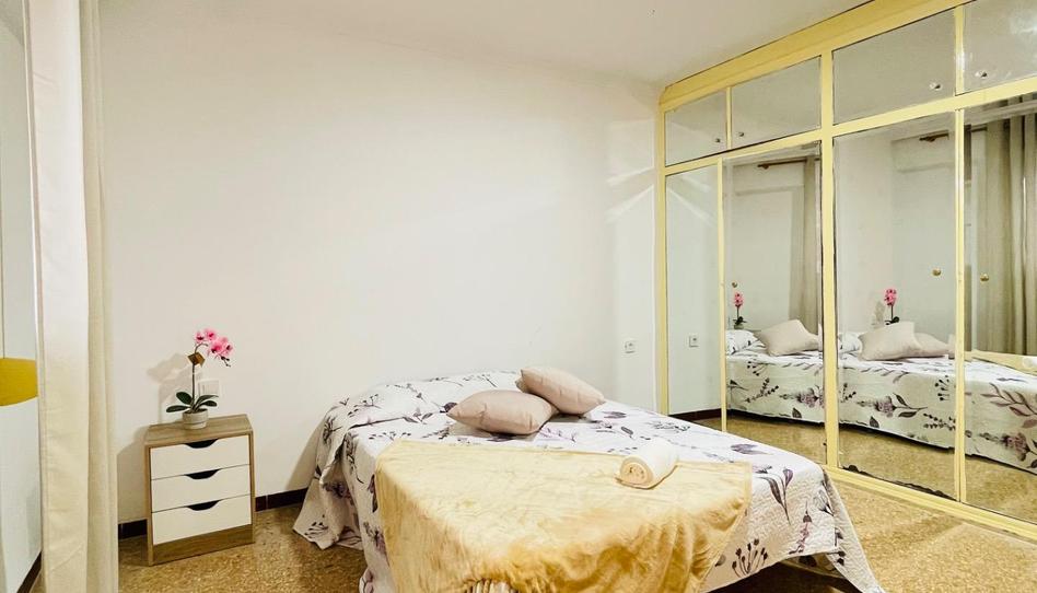 Foto 1 de Piso para compartir en Calle del Teniente Llorca, 26, Campoamor, Alicante