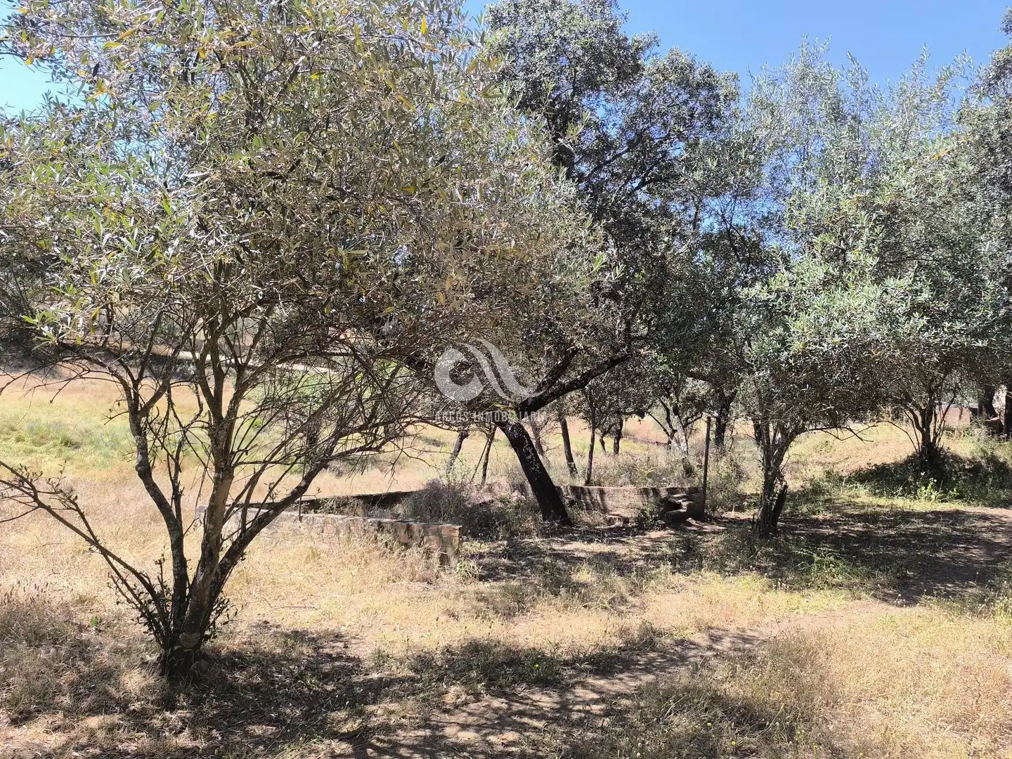 Casa o chalet en venta en Córdoba