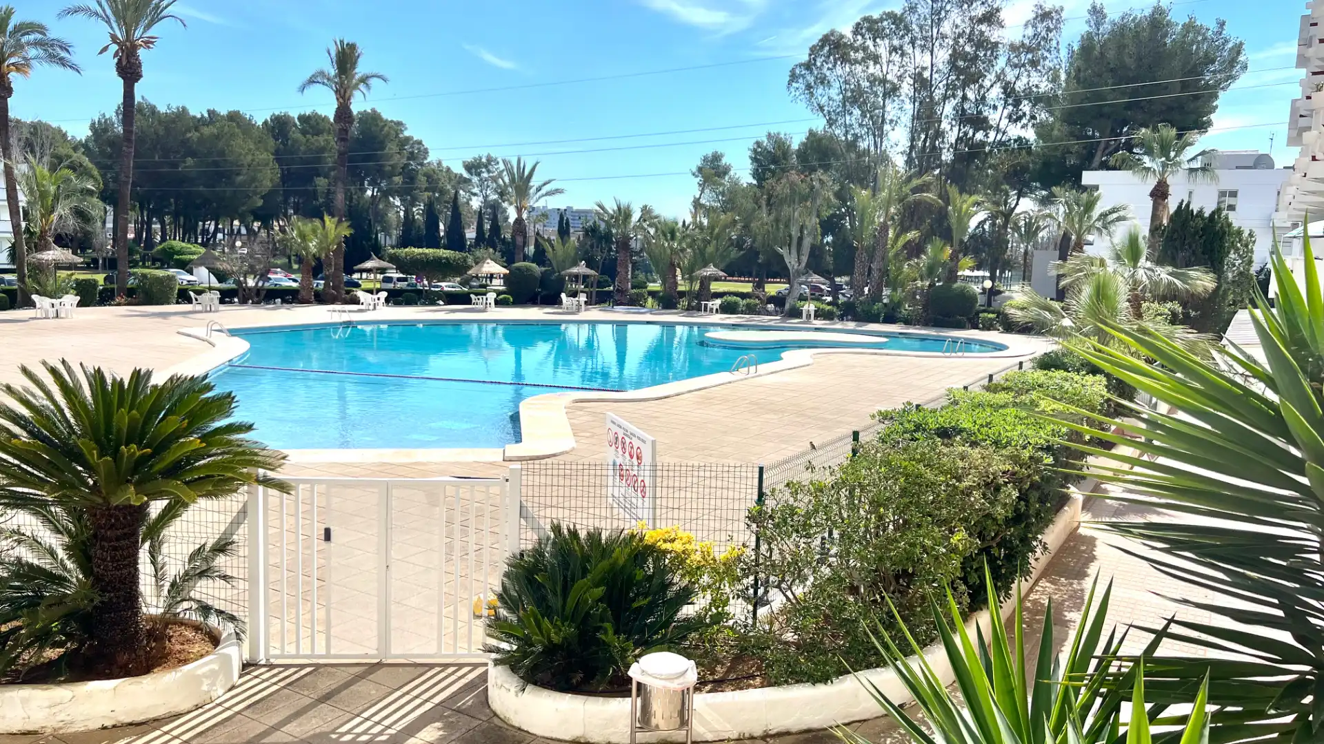 Piscina de Estudio en venta en Alcúdia con Aire acondicionado, Terraza y Trastero